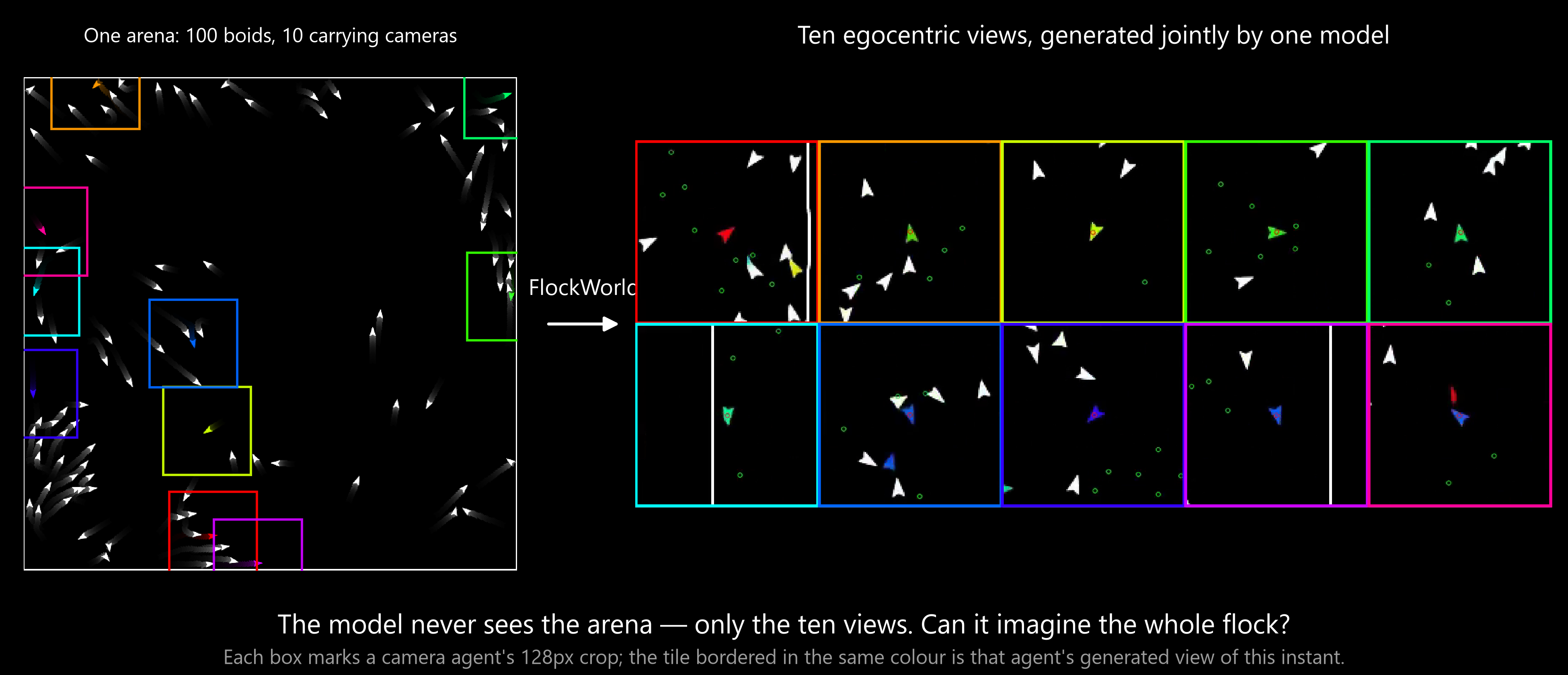 FlockWorld: Toward Population-Scale Multi-Agent Video World Models through Artificial Life Simulation
