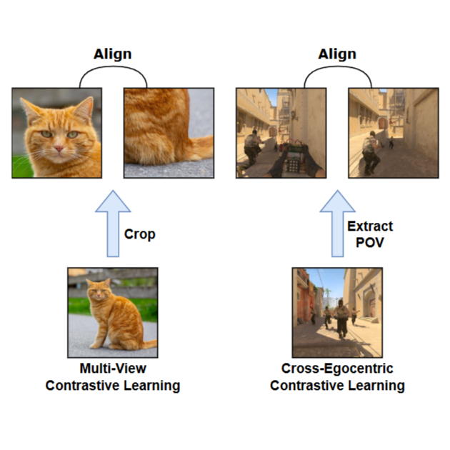 X-Ego: Acquiring Team-Level Tactical Situational Awareness via Cross-Egocentric Contrastive Video Representation Learning